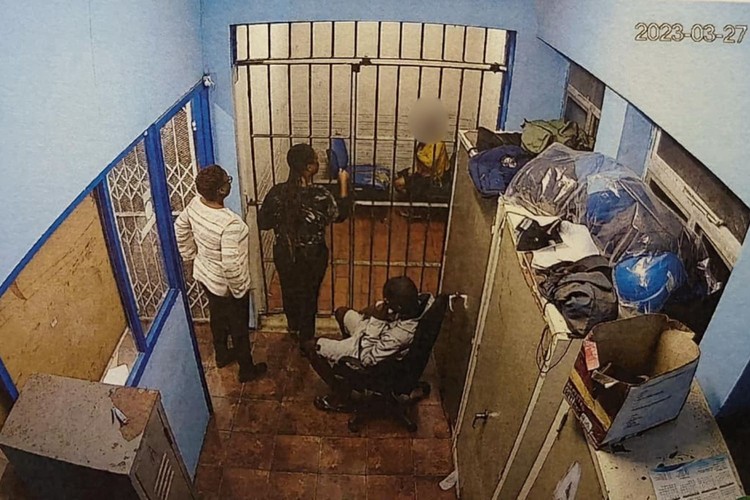 Summary image for article