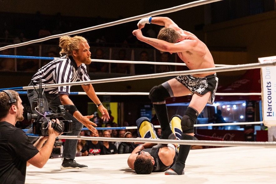 Summary image for article