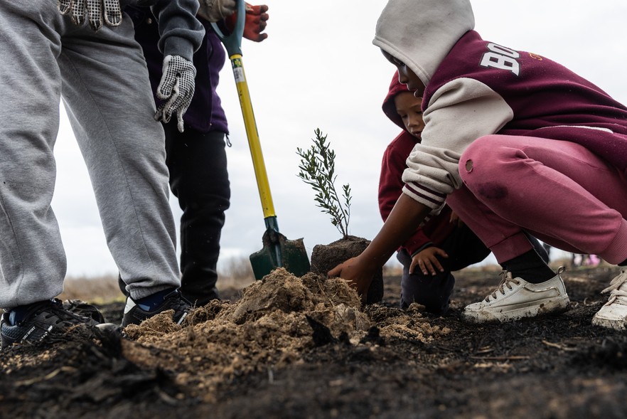 Summary image for article