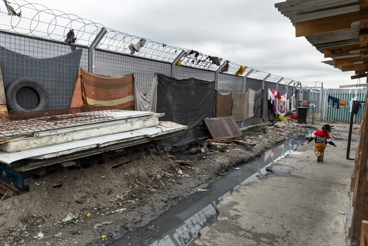 Summary image for article