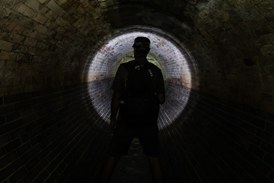 Summary image for article