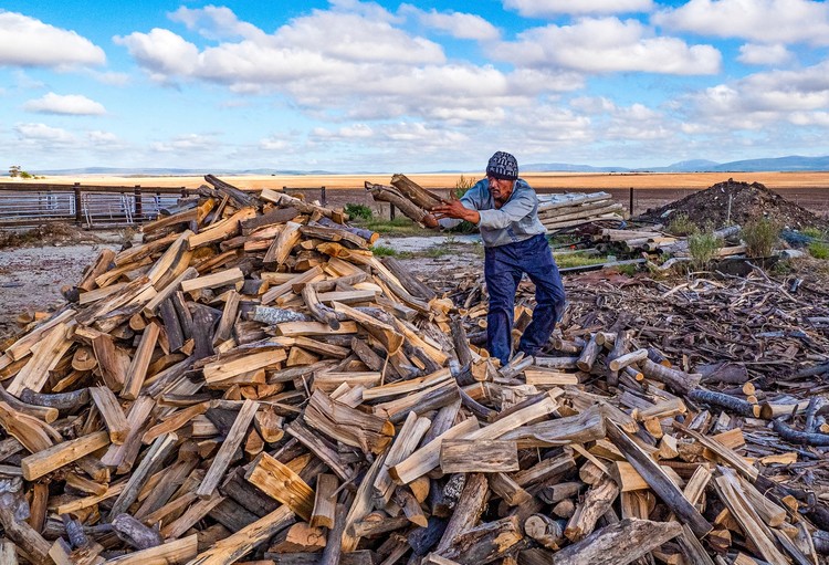 Summary image for article