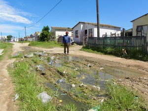 Photo of a muddy street with grass growing in the middle of it