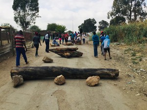 Photo of log across road