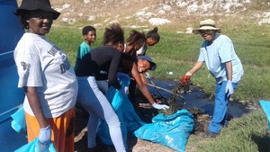 Photo of people cleaning