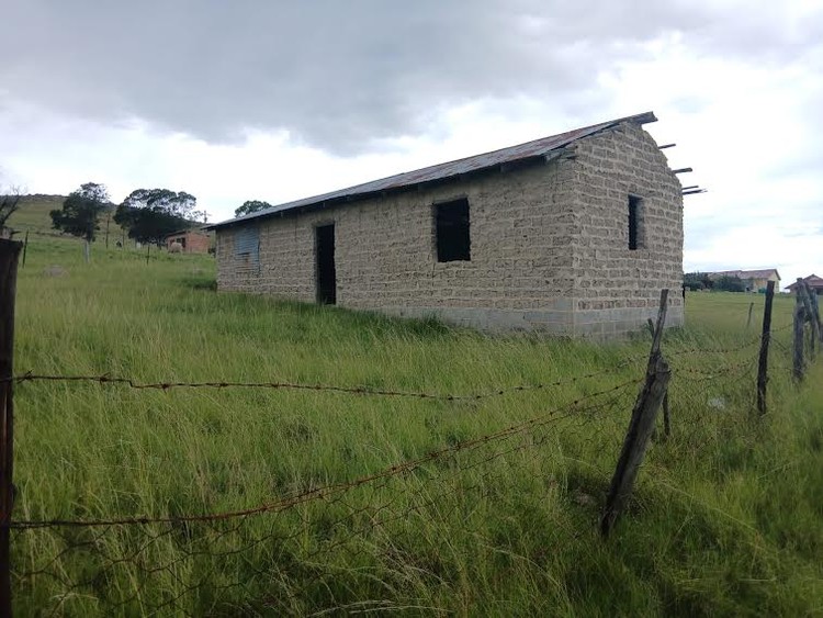 Summary image for article