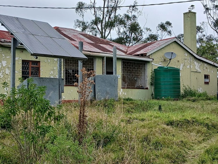 Summary image for article