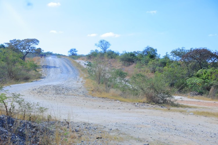Summary image for article