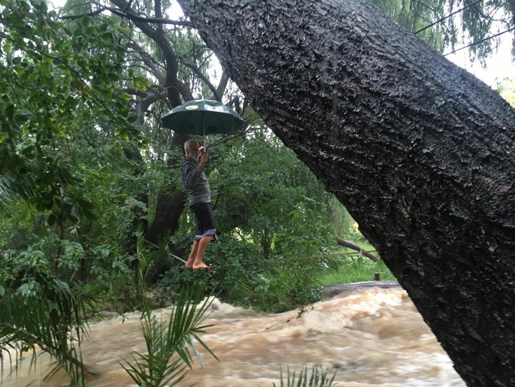 Summary image for article