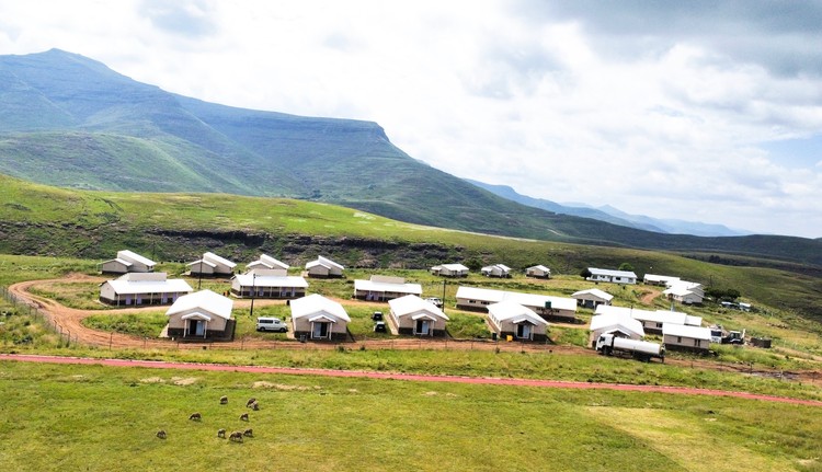 Summary image for article