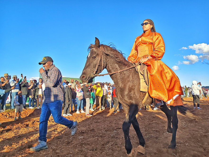 Summary image for article