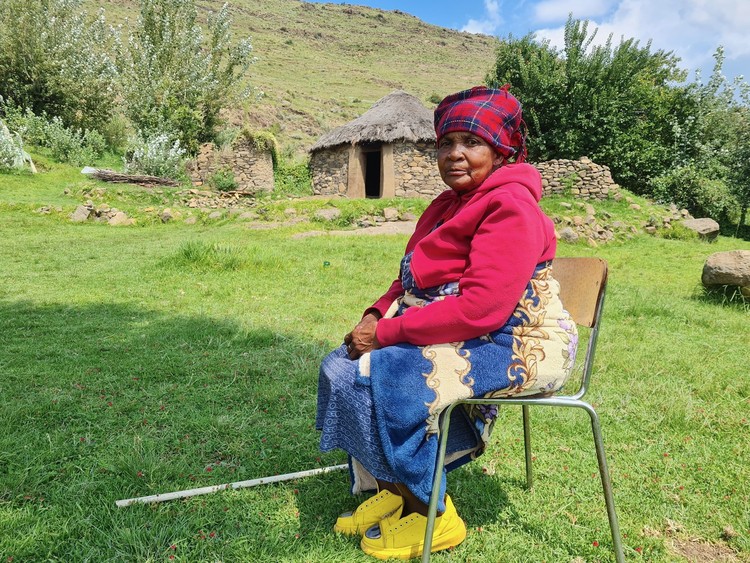 Summary image for article