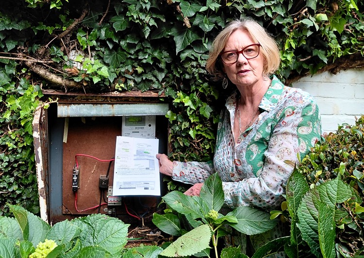 Summary image for article