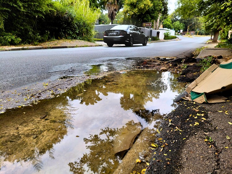 Summary image for article