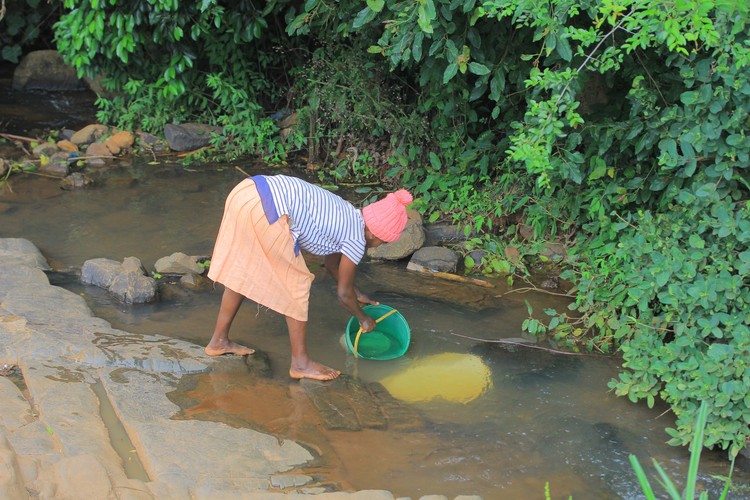 Summary image for article