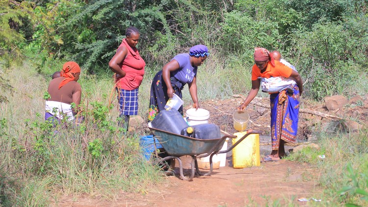 Summary image for article