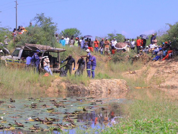 Summary image for article