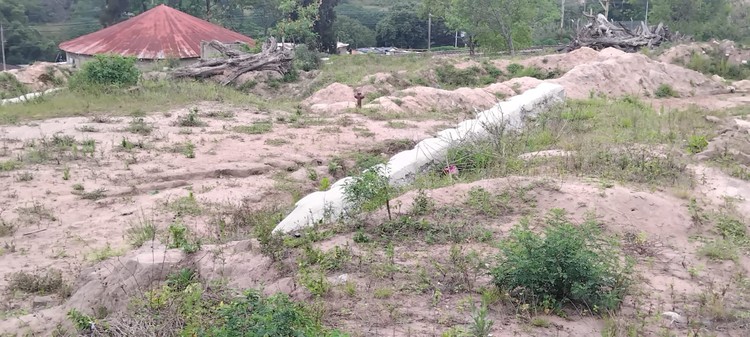 Summary image for article