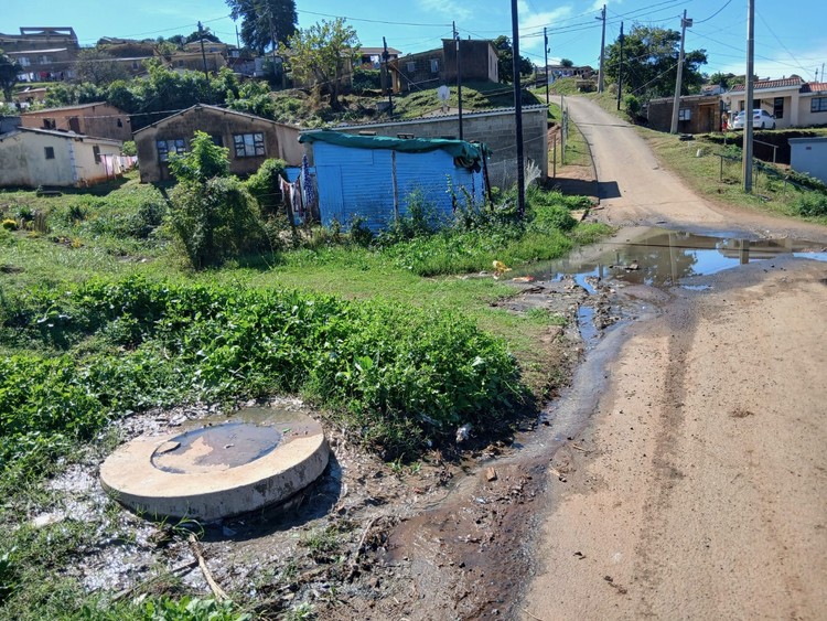 Summary image for article