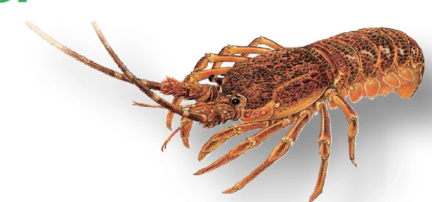 Summary image for article